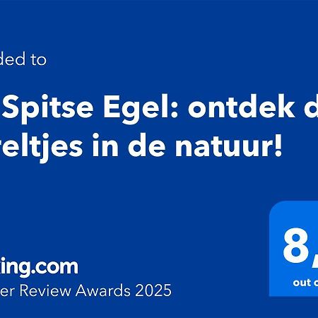 De Spitse Egel: Ontdek De Pareltjes In De Natuur! أوتيرلو المظهر الخارجي الصورة