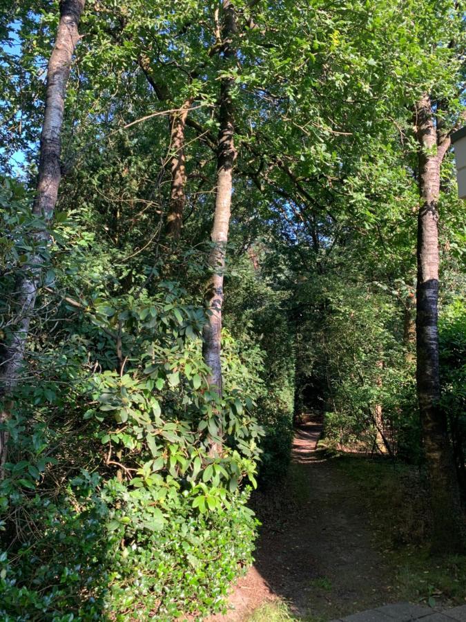 De Spitse Egel: Ontdek De Pareltjes In De Natuur! أوتيرلو المظهر الخارجي الصورة
